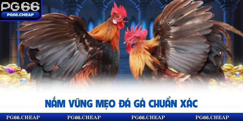 Nắm vững mẹo đá gà chuẩn xác