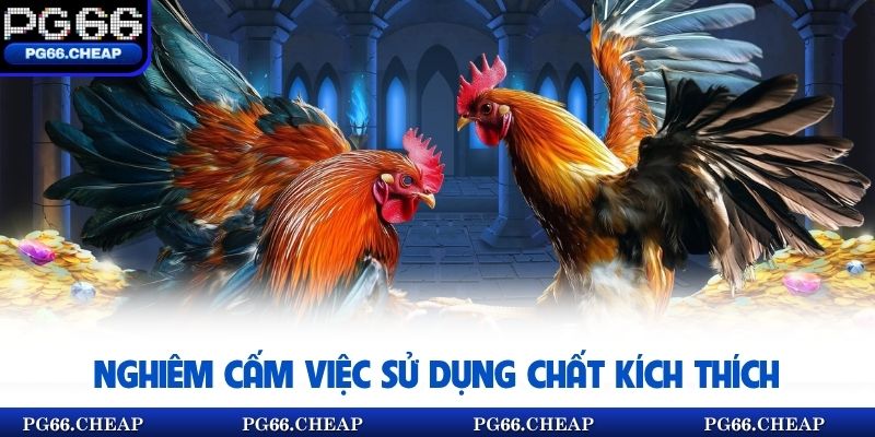 Nghiêm cấm việc sử dụng chất kích thích